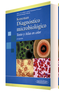 Descargar libro koneman diagnostico microbiologico pdf